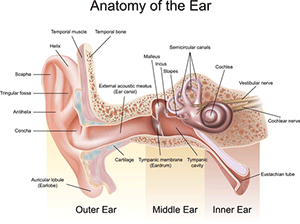 Natural Inner Ear Disorder treatment in Edwardsville, IL